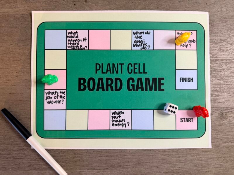 an image of a plant cell board game.