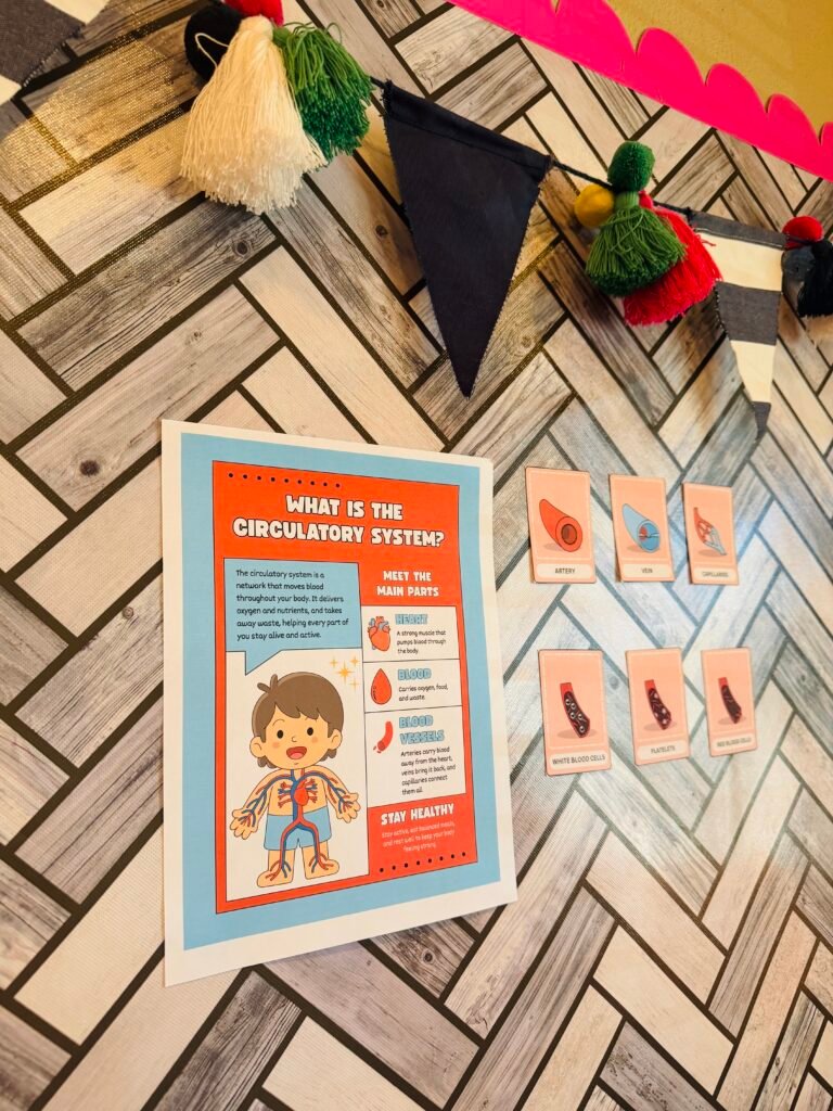 printable posters explaining what the circulatory system