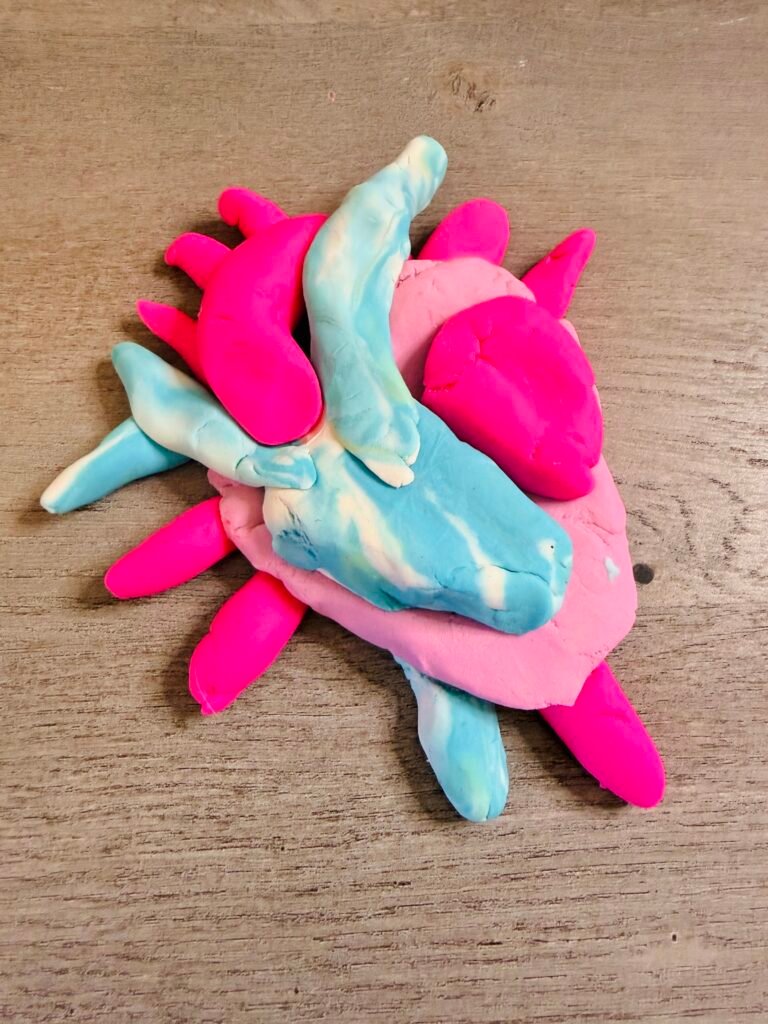 heart made out of play dough to show circulatory system.