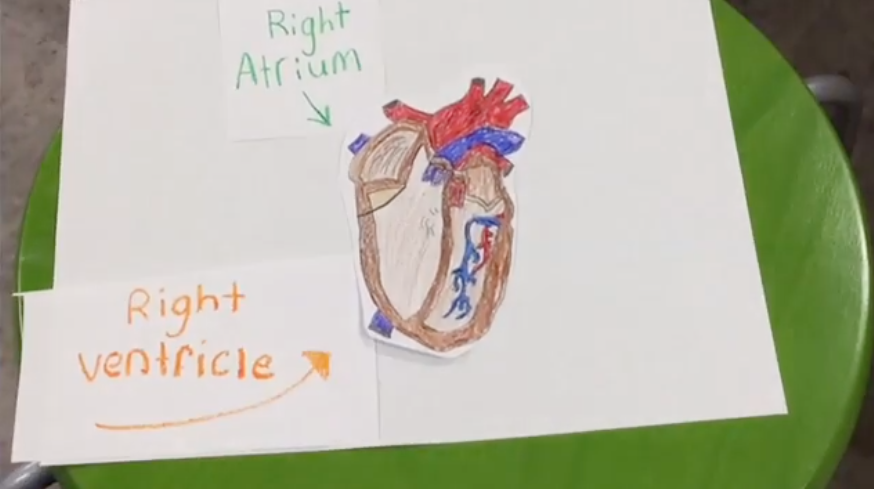an image of a student drawn heart used in a stop motion video