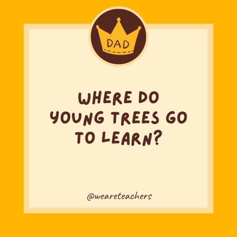 Where do young trees go to l Where do young trees go to l