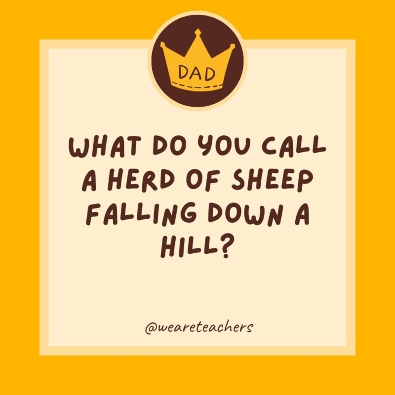 What do you call a herd of sheep falling down a hill? A lambslide.- dad jokes for kids What do you call a herd of sheep falling down a hill? A lambslide.- dad jokes for kids