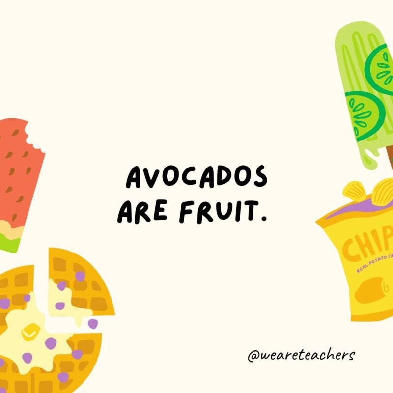 Avocados are fruit. Avocados are fruit.