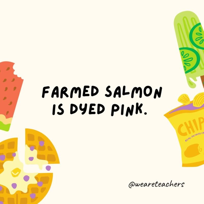 Farmed salmon is dyed pink. Farmed salmon is dyed pink.