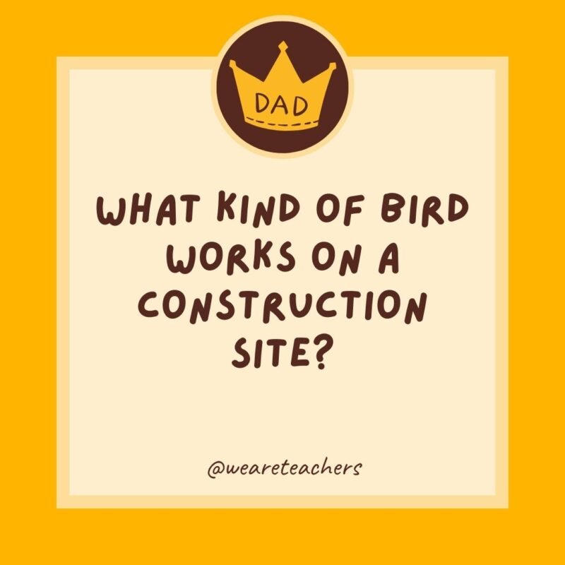What kind of bird works on a construction site? A crane. What kind of bird works on a construction site? A crane.