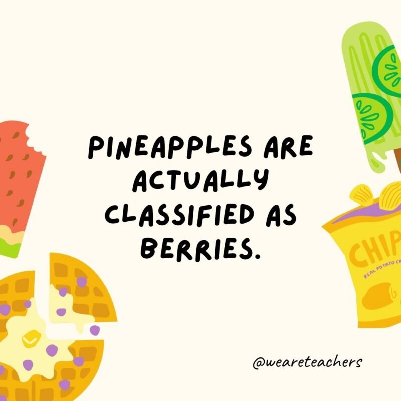 Fun Food Facts an image of a fun food fact surrounded by food clipart