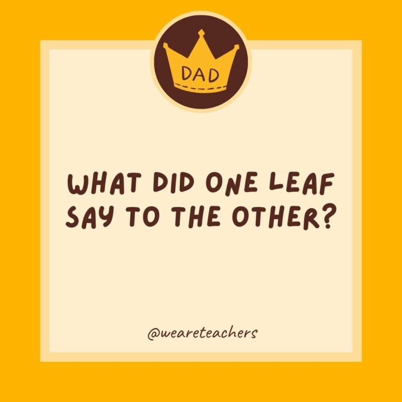 What did one leaf say to the other? I’m falling for you. What did one leaf say to the other? I’m falling for you.