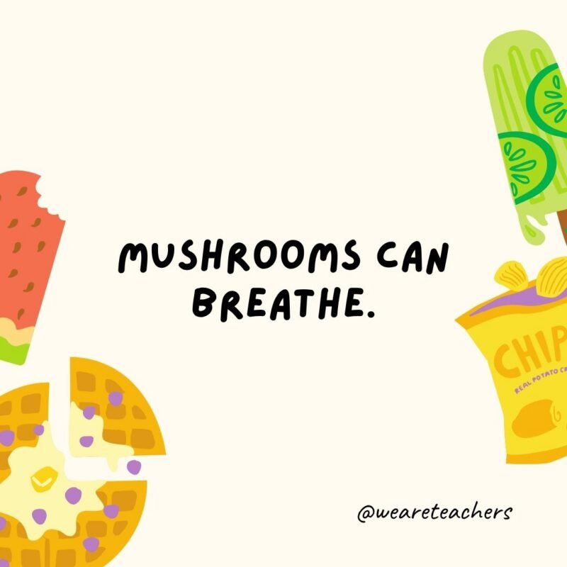Fun Food Facts an image of a fun food fact surrounded by food clipart