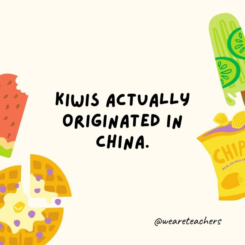 Fun Food Facts an image of a fun food fact surrounded by food clipart