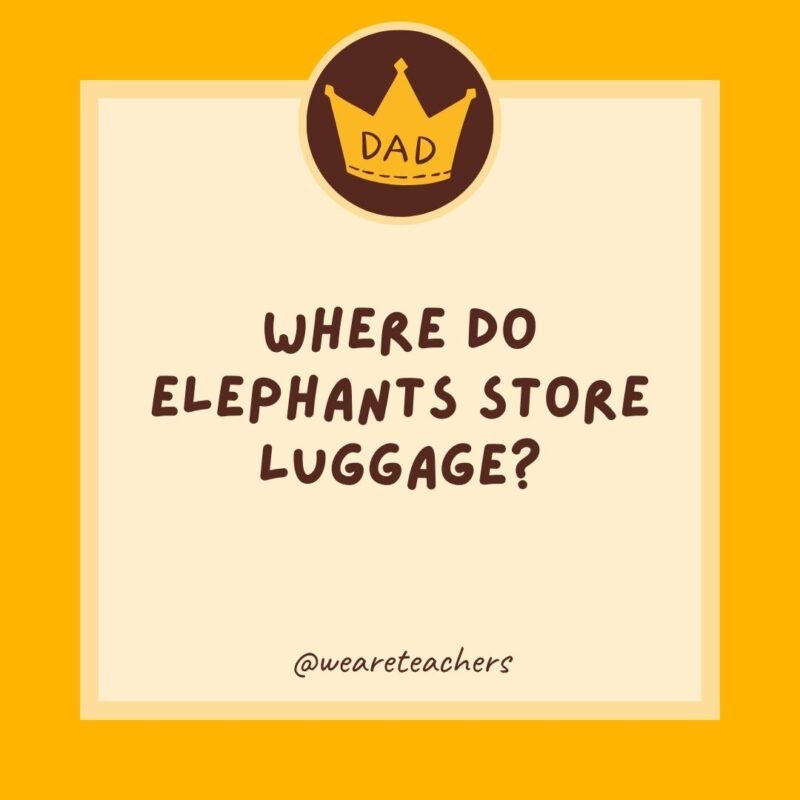 Where do elephants store luggage? In a trunk.- dad jokes for kids Where do elephants store luggage? In a trunk.- dad jokes for kids