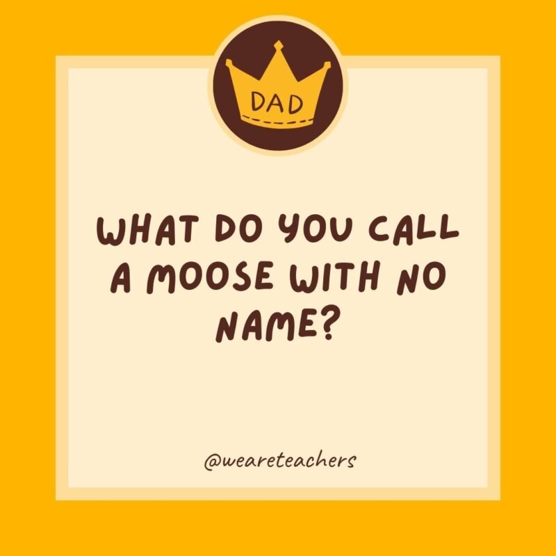 What do you call a moose with no name? Anonymoose. What do you call a moose with no name? Anonymoose.