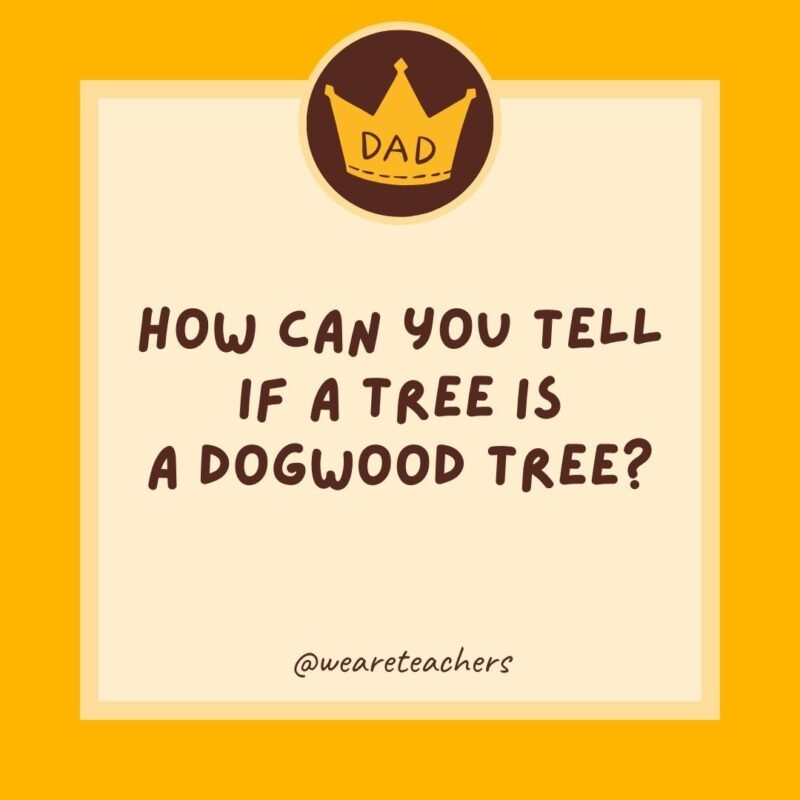 How can you tell if a tree is a dogwood tree? How can you tell if a tree is a dogwood tree?