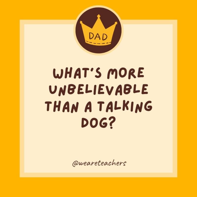 What’s more unbelievable than a talking dog? A spelling bee. What’s more unbelievable than a talking dog? A spelling bee.