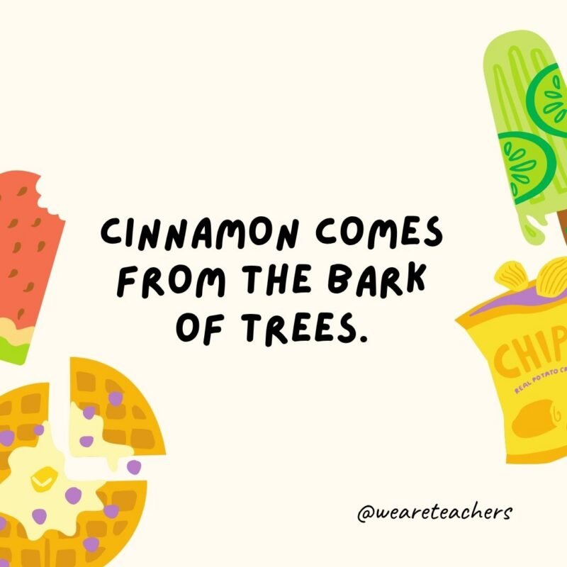 Fun Food Facts an image of a fun food fact surrounded by food clipart