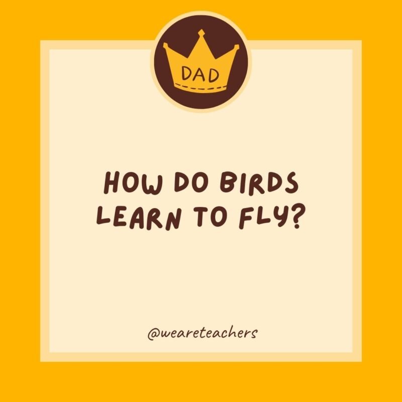 How do birds learn to fly? They wing it. How do birds learn to fly? They wing it.