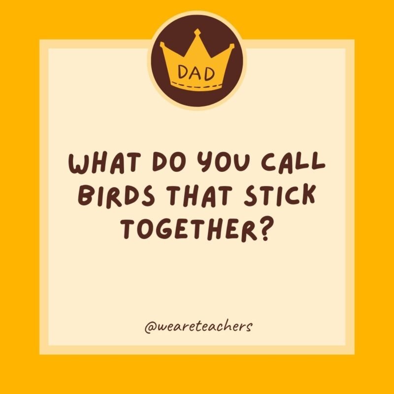 What do you call birds that stick together? Velcrows. What do you call birds that stick together? Velcrows.
