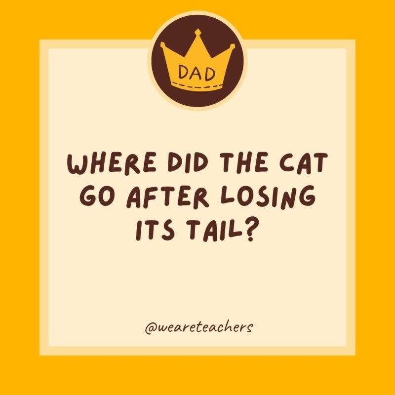 Where did the cat go after losing its tail? The retail store.- dad jokes for kids Where did the cat go after losing its tail? The retail store.- dad jokes for kids- dad jokes for kids
