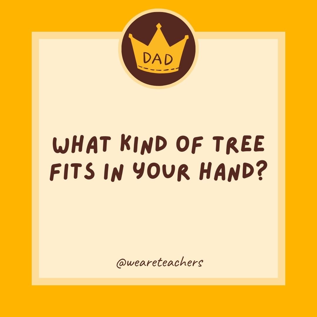 What kind of tree fits in your hand? What kind of tree fits in your hand?