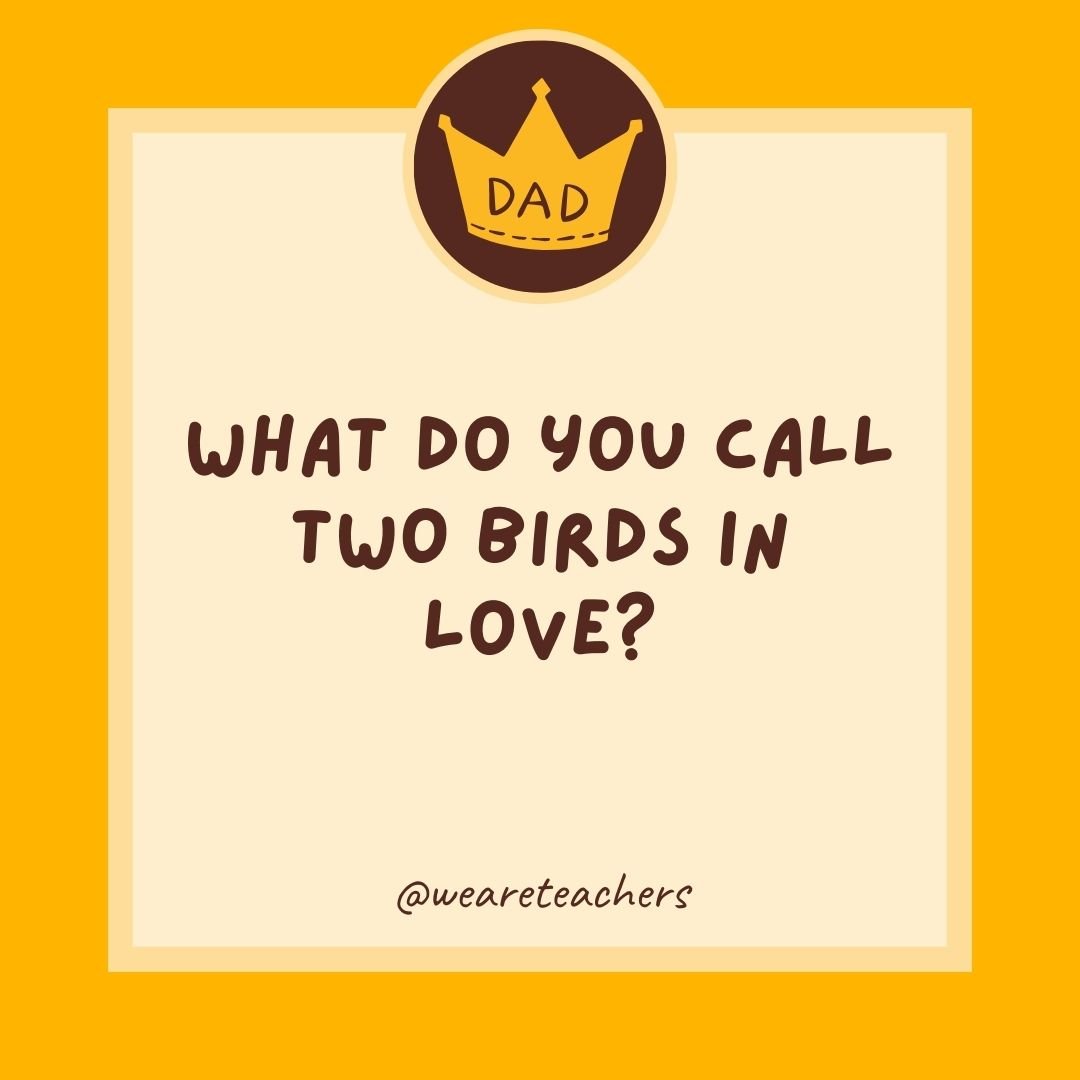 What do you call two birds in love? What do you call two birds in love?