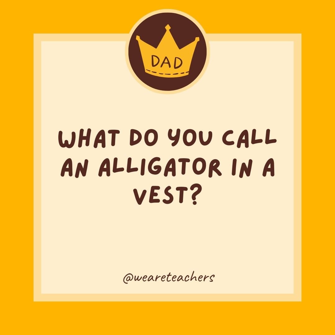What do you call an alligator in a vest? What do you call an alligator in a vest?