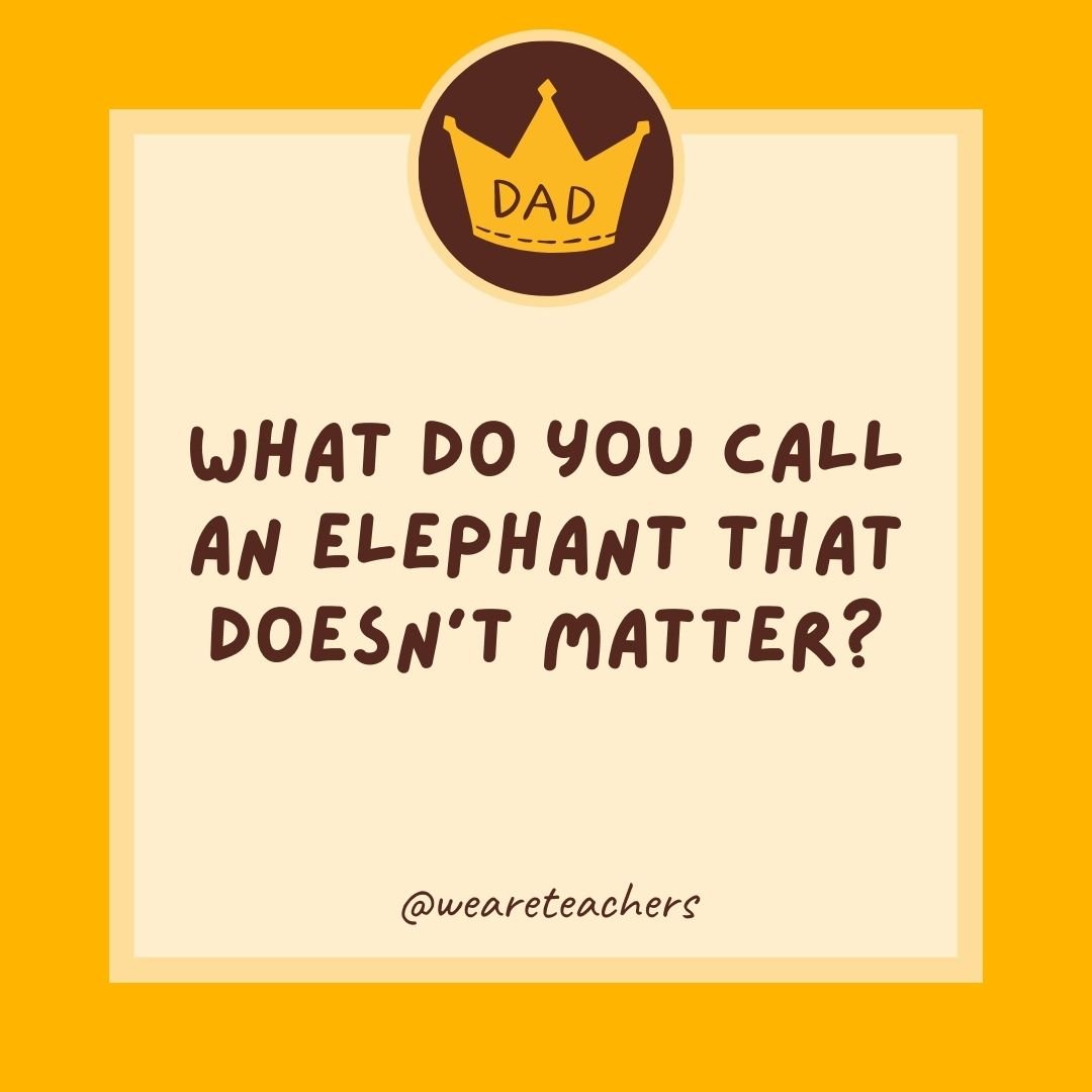 What do you call an elephant that doesn’t matter? What do you call an elephant that doesn't matter?
- dad jokes for kids