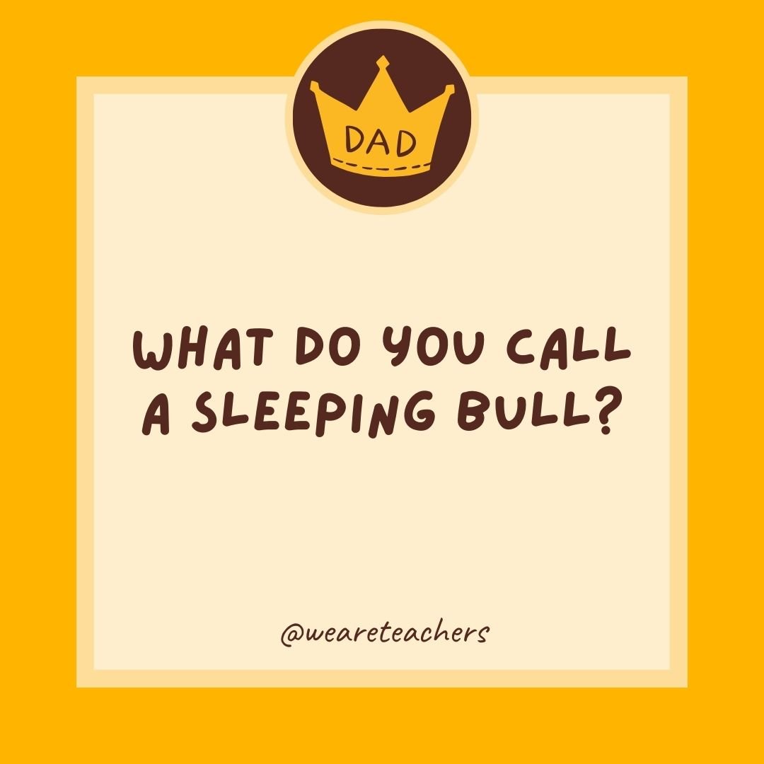 What do you call a sleeping bull? What do you call a sleeping bull?