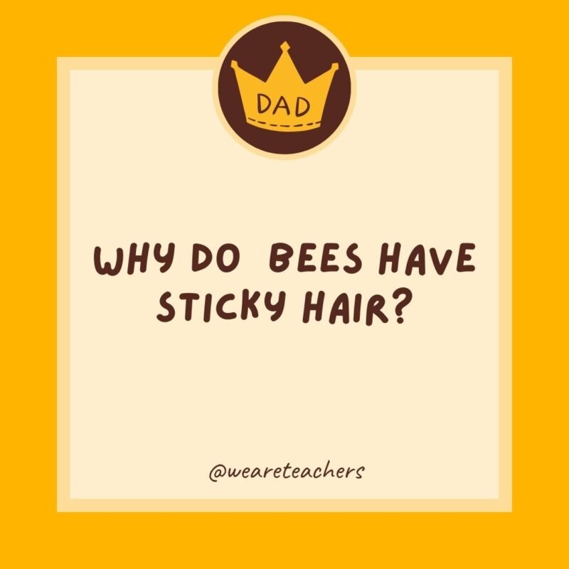 Why do bees have sticky hair? Why do bees have sticky hair?