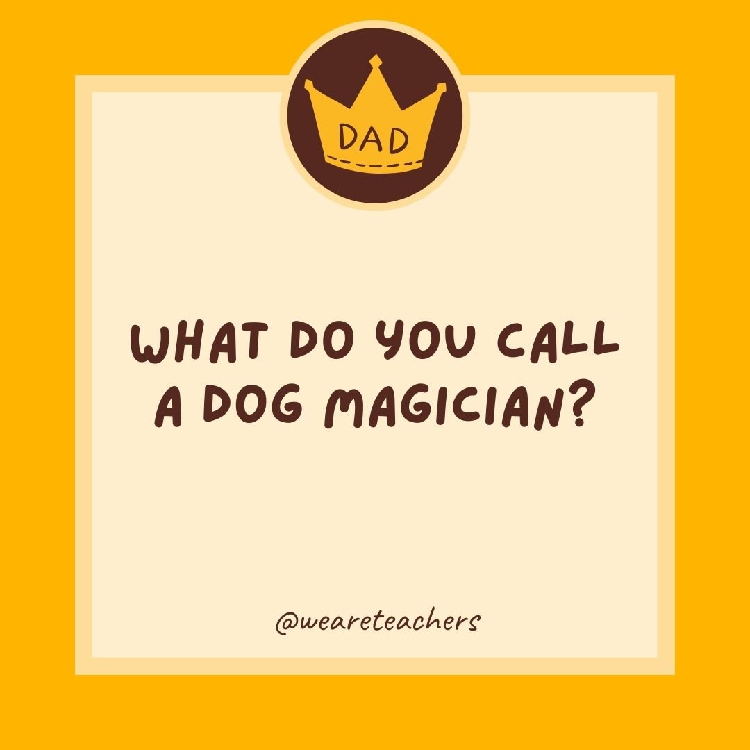 What do you call a dog magician? What do you call a dog magician?