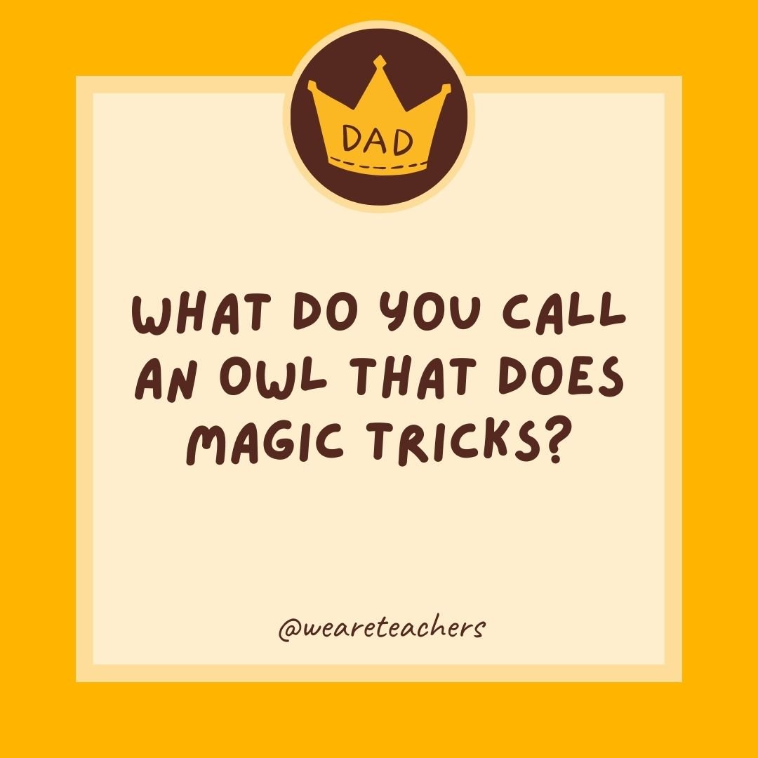 What do you call an owl that does magic tricks? What do you call an owl that does magic tricks?