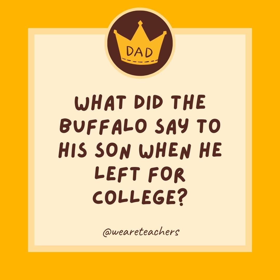 What did the buffalo say to his son when he left for college? What did the buffalo say to his son when he left for college?