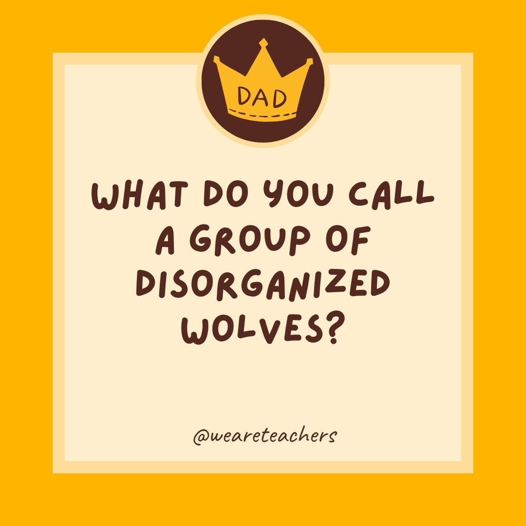 What do you call a group of disorganized wolves? What do you call a group of disorganized wolves?