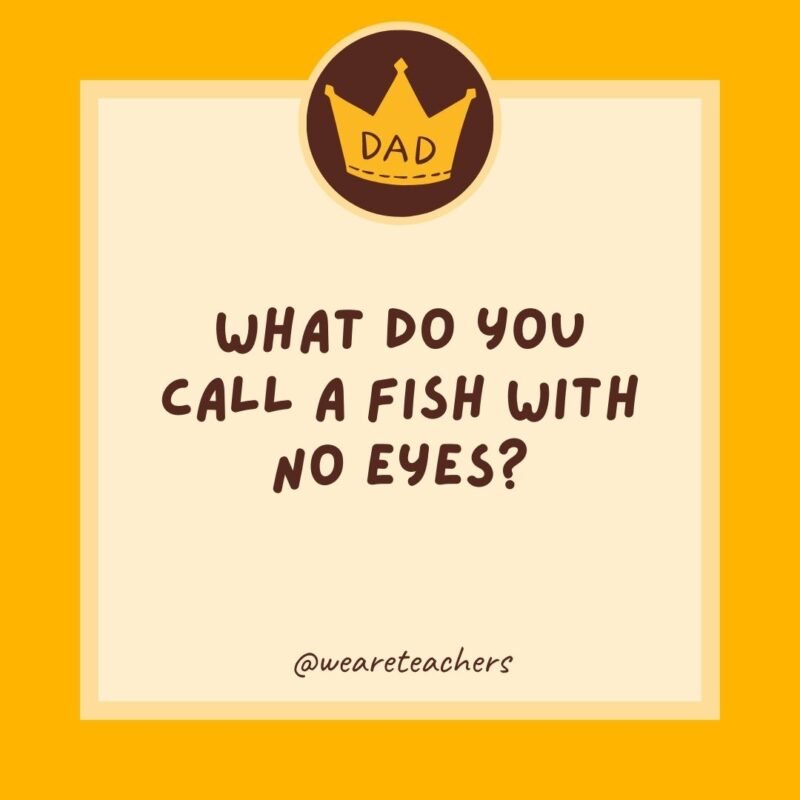 What do you call a fish with no eyes? What do you call a fish with no eyes?