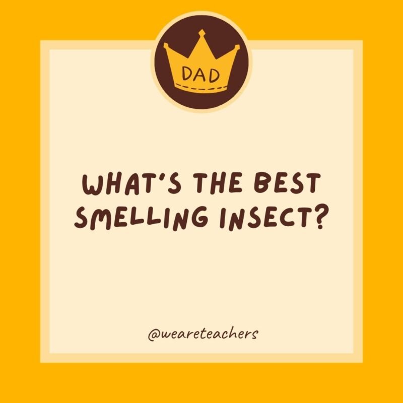 What’s the best-smelling insect? What's the best-smelling insect?
