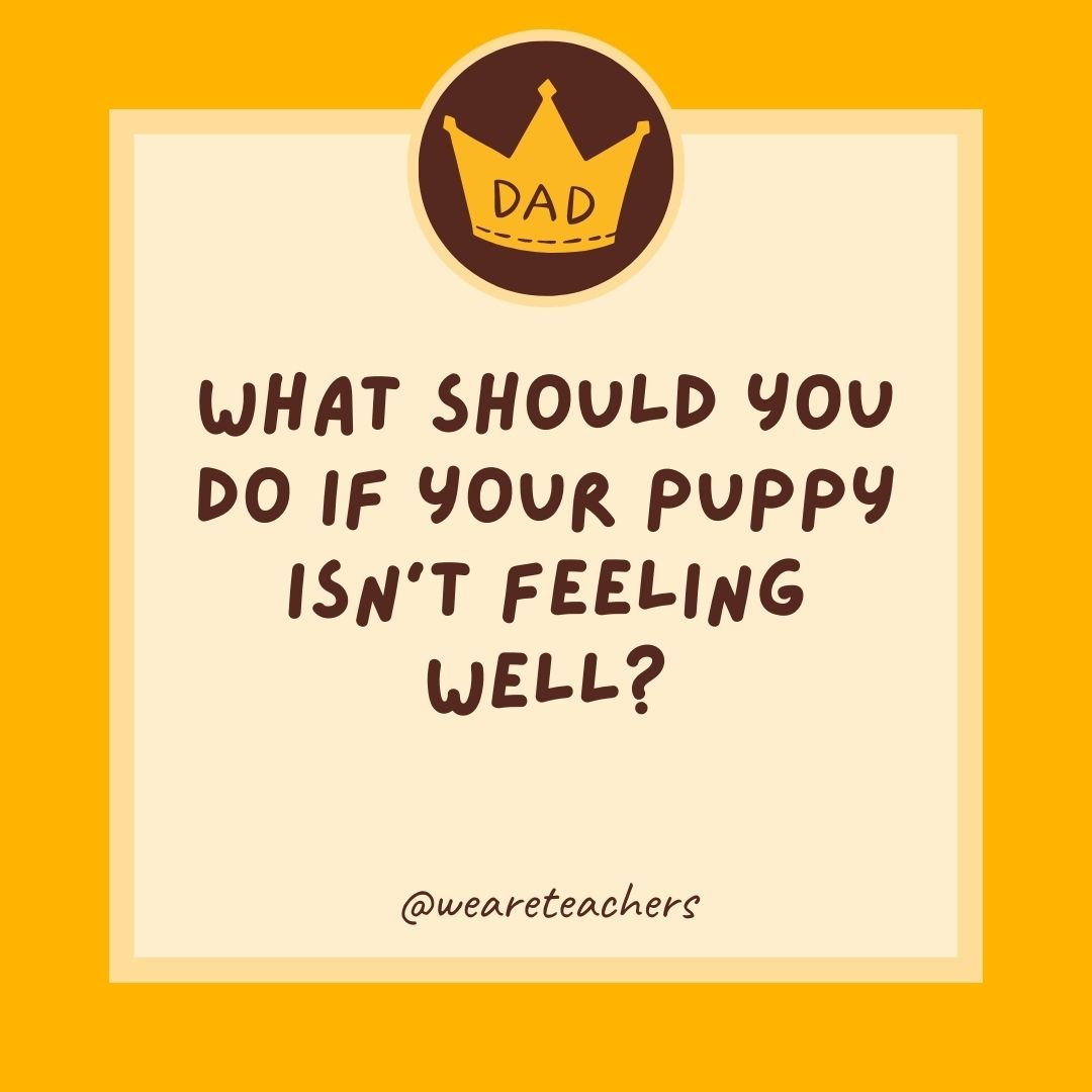 What should you do if your puppy isn’t feeling well? What should you do if your puppy isn't feeling well?
- dad jokes for kids