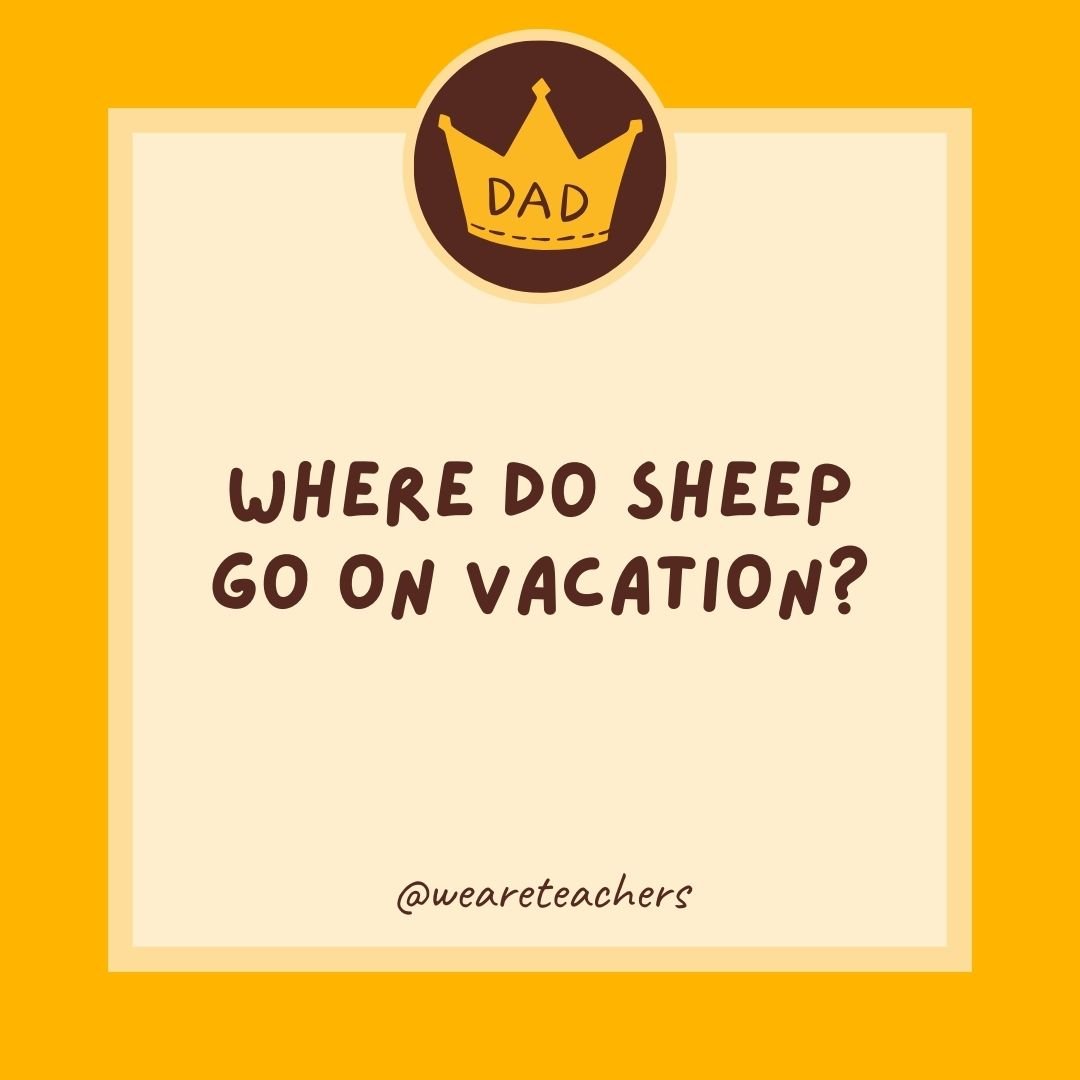 Where do sheep go on vacation? Where do sheep go on vacation?