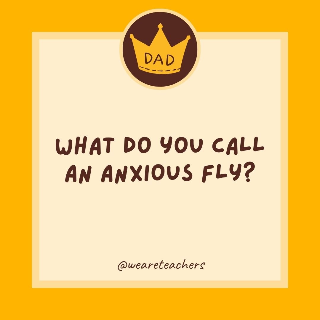 What do you call an anxious fly? What do you call an anxious fly?
- dad jokes for kids