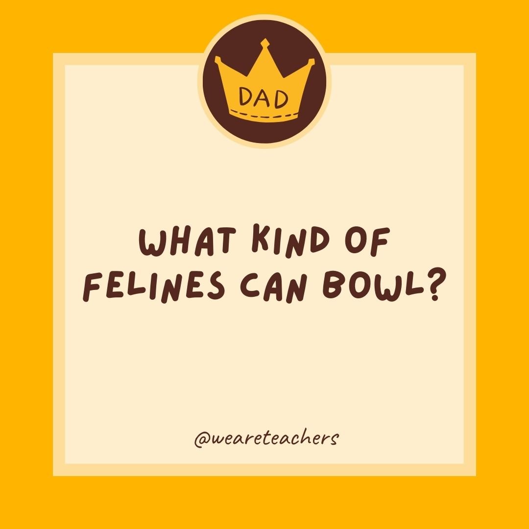 What kind of felines can bowl? What kind of felines can bowl?
- dad jokes for kids