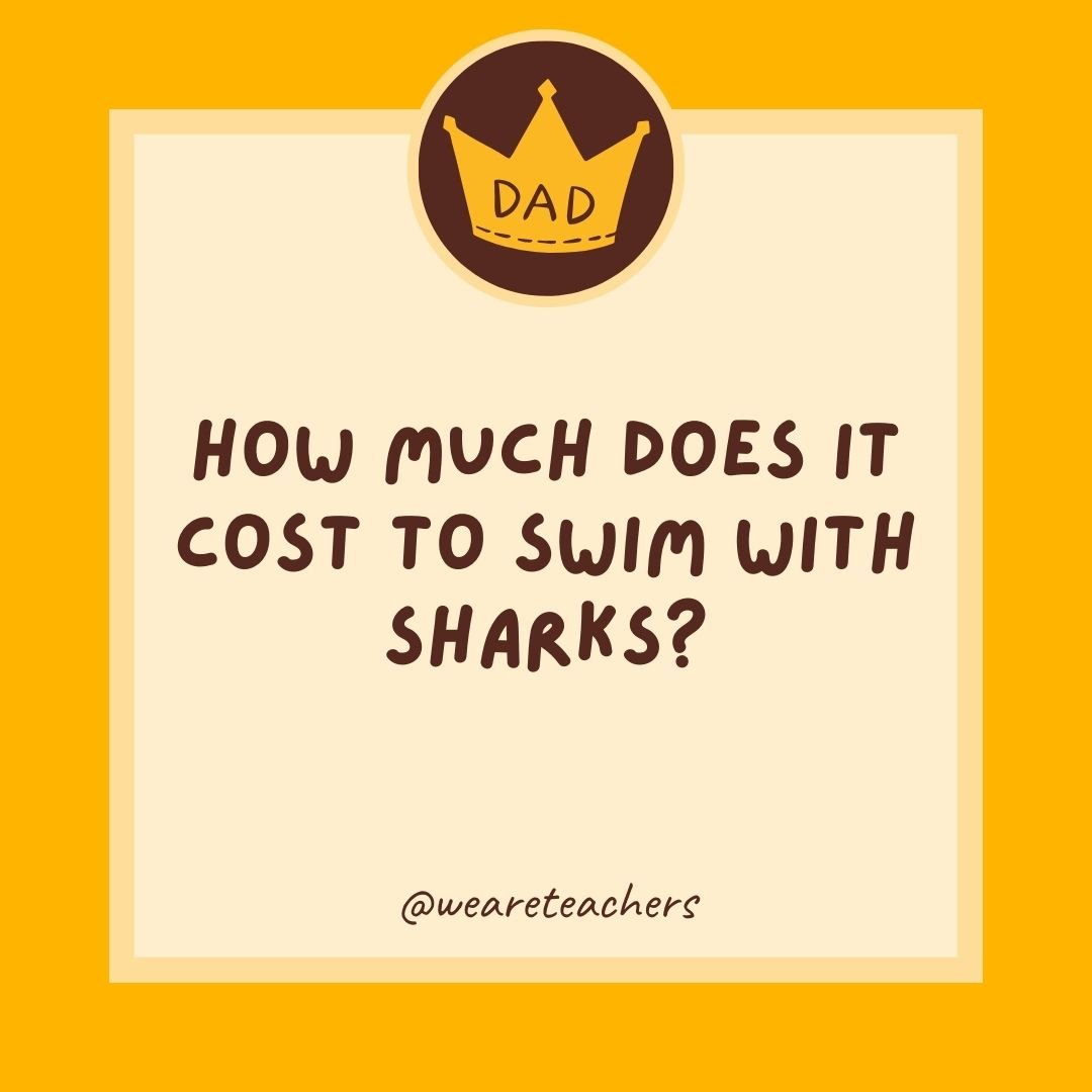 How much does it cost to swim with sharks? How much does it cost to swim with sharks?
- dad jokes for kids