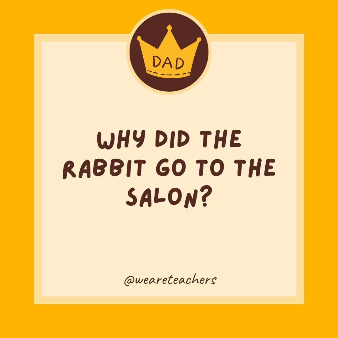 Why did the rabbit go to the salon? Why did the rabbit go to the salon?