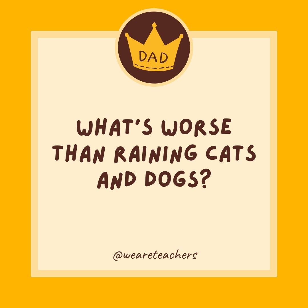 What’s worse than raining cats and dogs? What's worse than raining cats and dogs?- dad jokes for kids