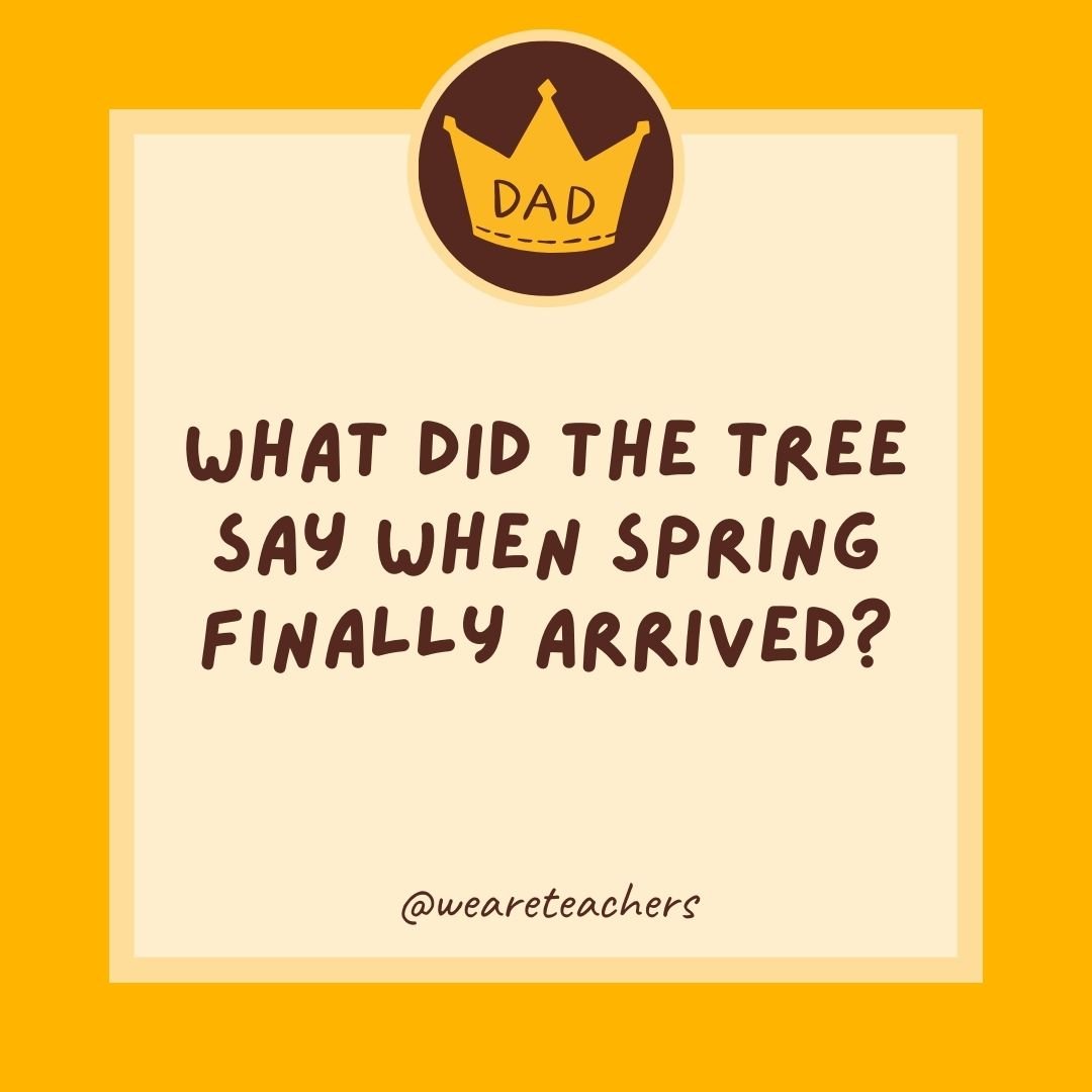 What did the tree say when spring finally arrived? What did the tree say when spring finally arrived?