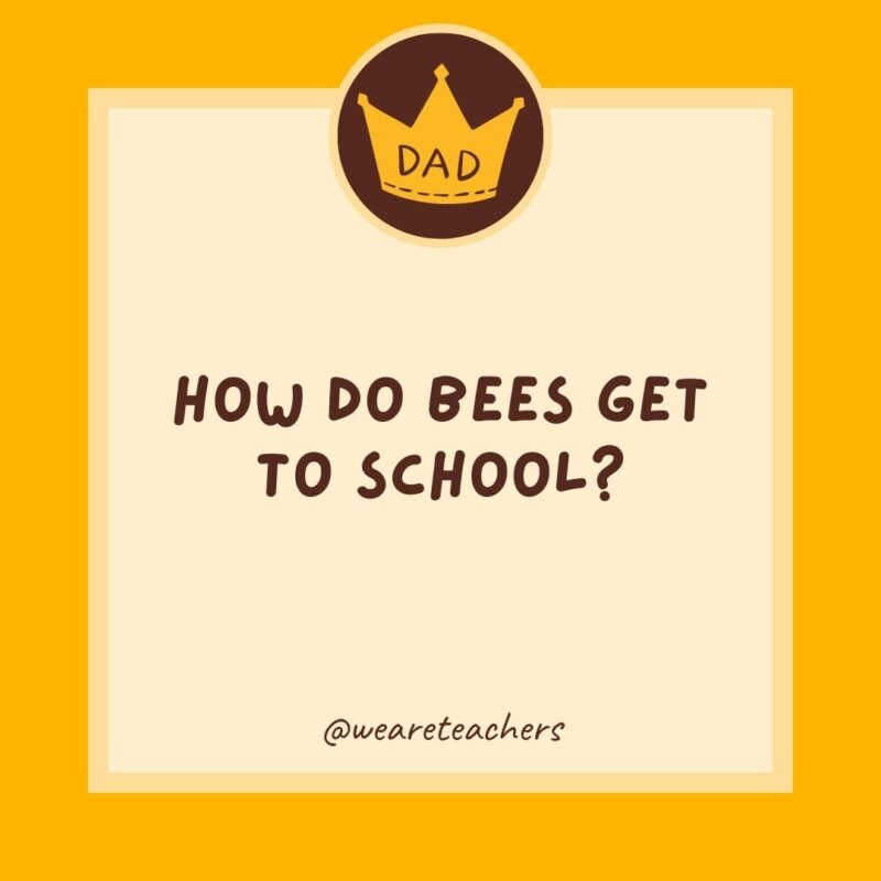 298. How do bees get to school? 298. How do bees get to school?- dad jokes for kids