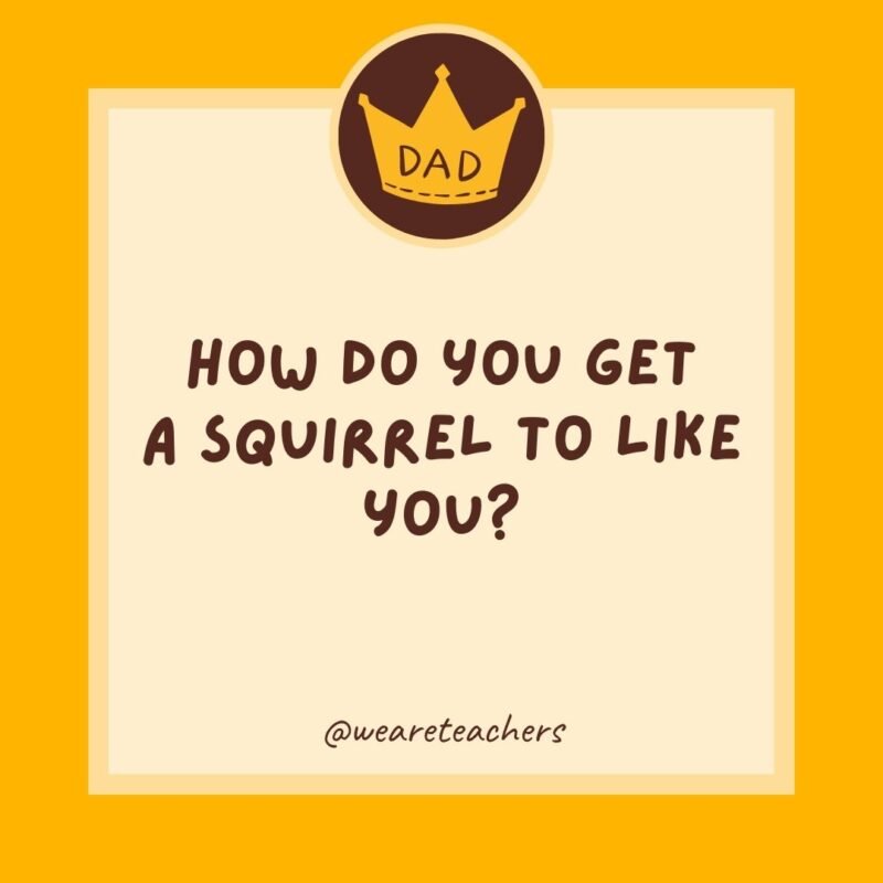 How do you get a squirrel to like you How do you get a squirrel to like you