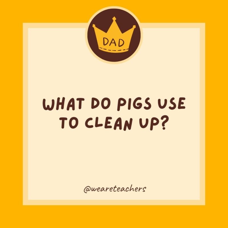 What do pigs use to clean up? Hogwash.- dad jokes for kids What do pigs use to clean up? Hogwash.- dad jokes for kids