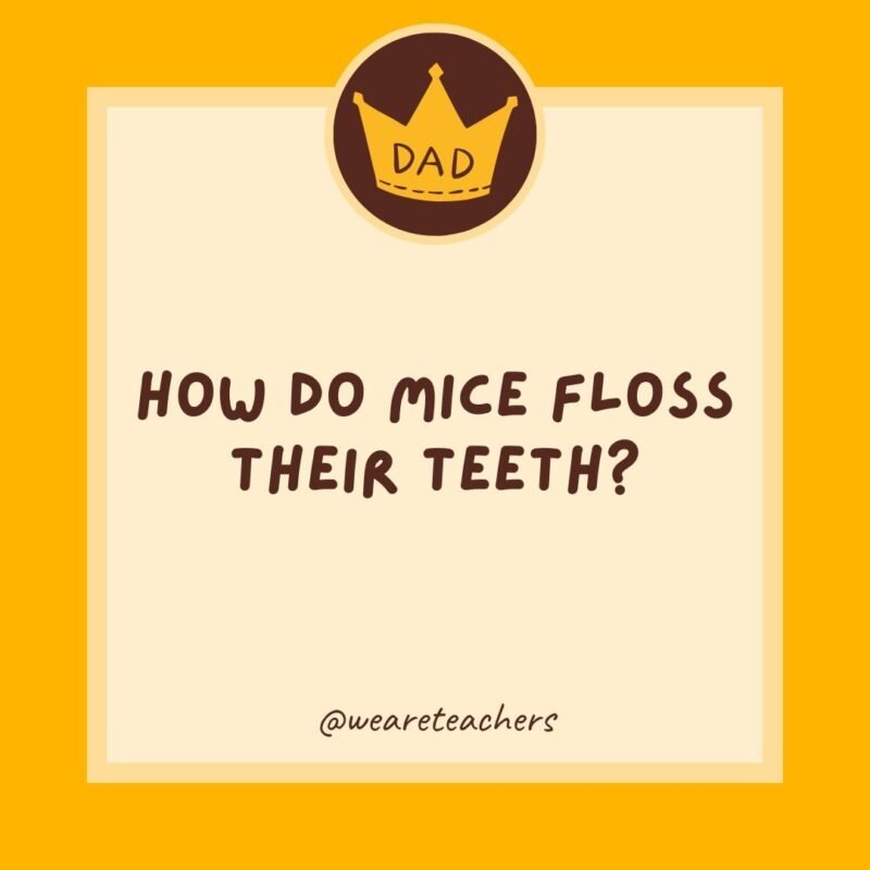 How do mice floss their teeth? With string cheese.- dad jokes for kids How do mice floss their teeth? With string cheese.- dad jokes for kids