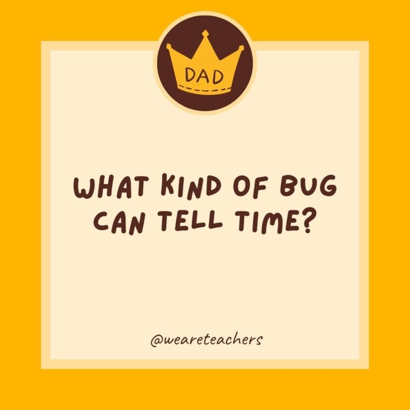 What kind of bug can tell time? A clock-roach. What kind of bug can tell time? A clock-roach.