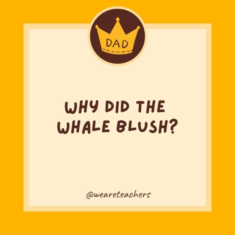 Why did the whale blush? It saw the ocean’s bottom. Why did the whale blush? It saw the ocean’s bottom.