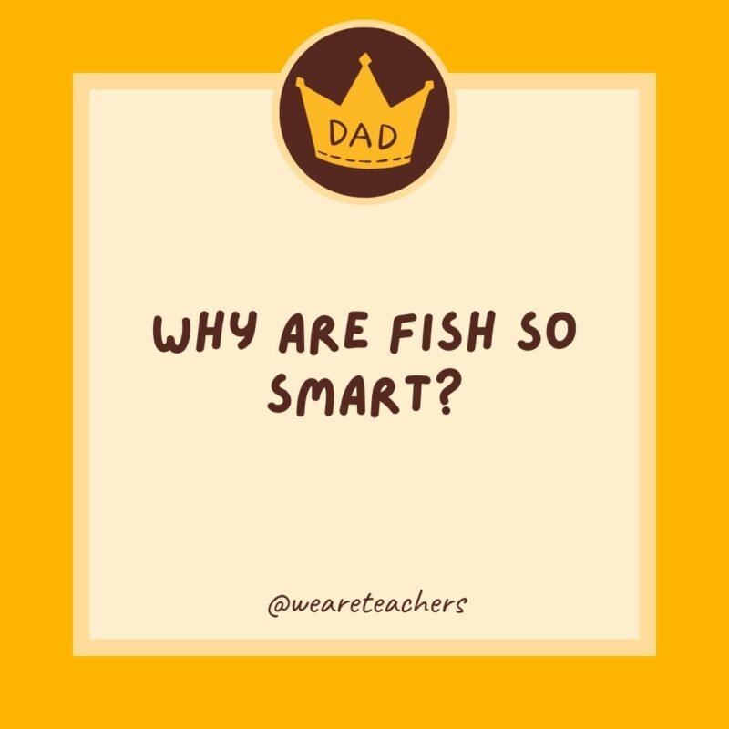 Why are fish so smart? Because they swim in schools. Why are fish so smart? Because they swim in schools.