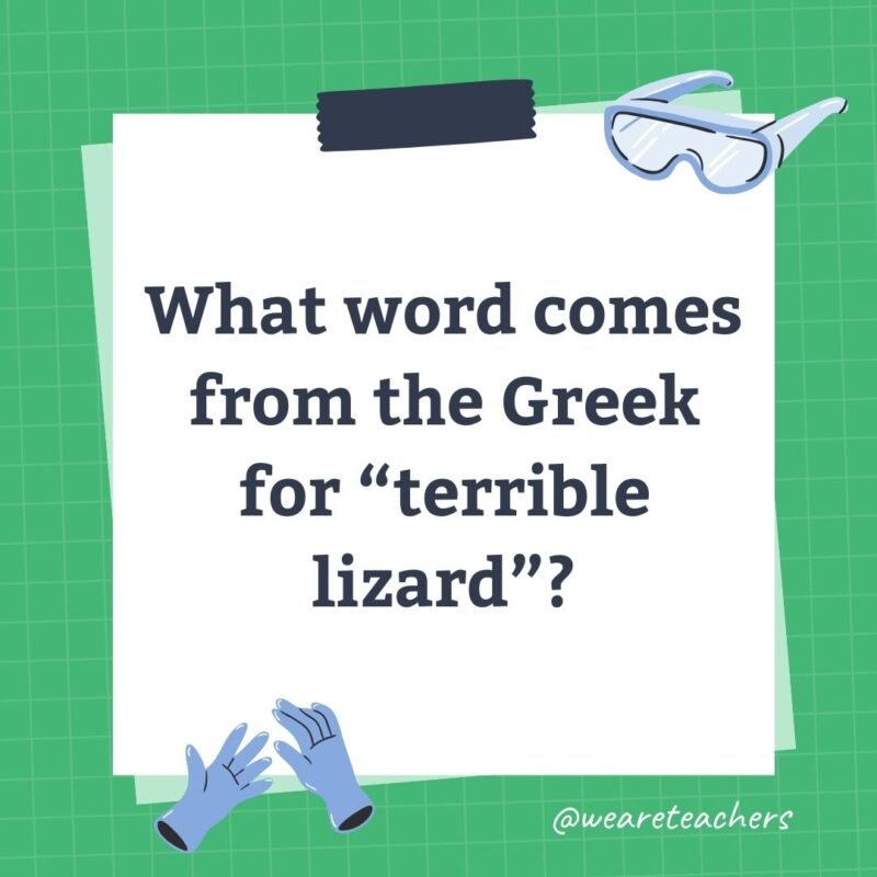 What word comes from the Greek for 