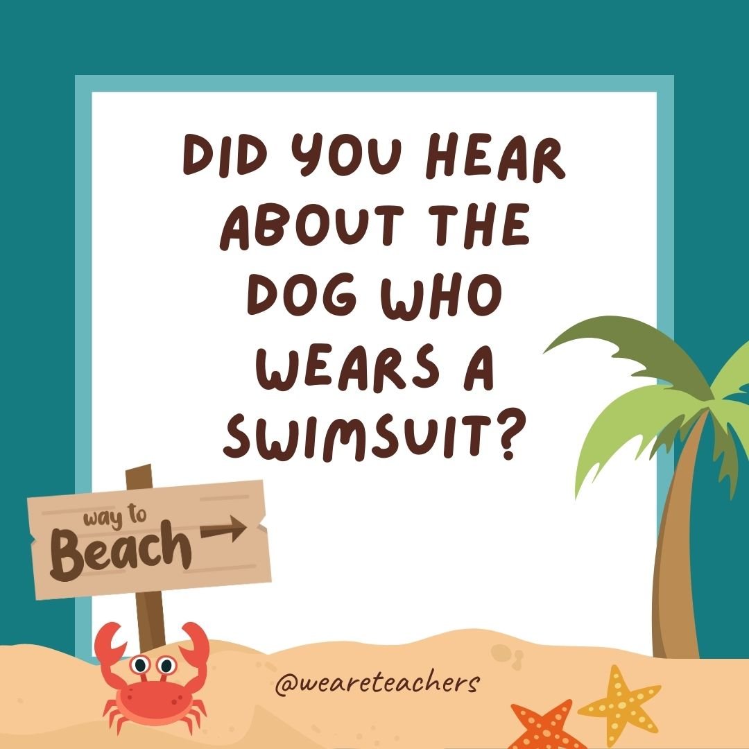 Did you hear about the dog who wears a swimsuit? Apparently, it looks quite fetching.